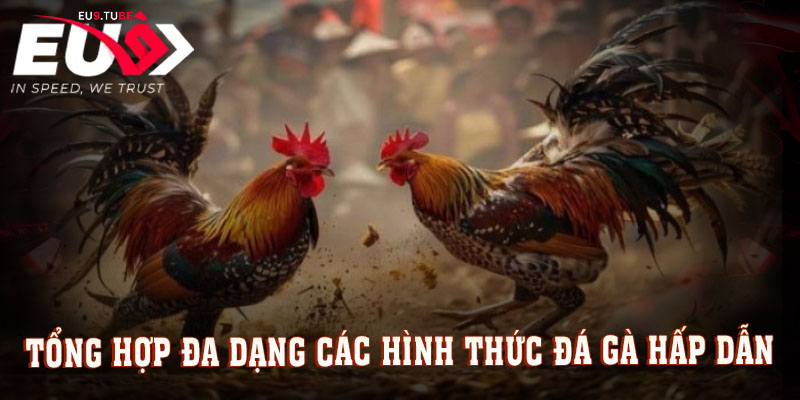 da-dang-cac-hinh-thuc-da-ga