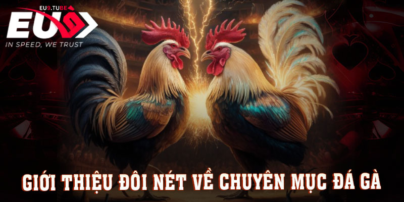 gioi-thieu-chuyen-muc-da-ga