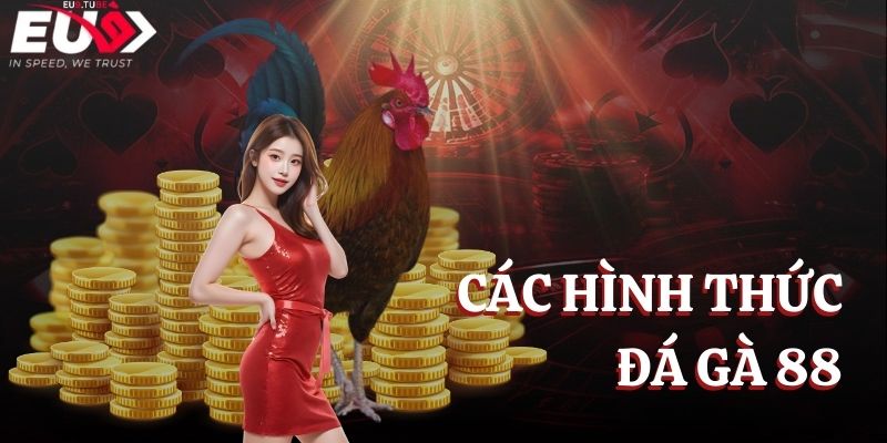 hinh-thuc-da-ga-88